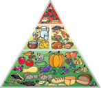 Channel icon for Food and Health