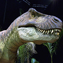 Show icon for Dinosaurs